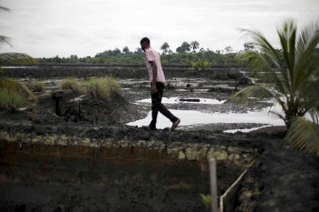Ogoniland. Guerillakrieg statt Landwirtschaft und Fischfang. Die Bewohner des Nigerdeltas wollen nicht nur die Folgeschäden sondern auch einen Teil der Einnahmen aus der Ölproduktion. (Foto: FoE / Flickr)