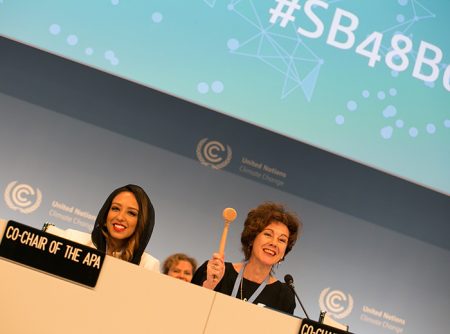 Werkzeug. Ohne Hammer können die beiden Co-Vorsitzenden Sarah Baashan (Saudi Arabien) und Jo Tyndall (Neuseeland) die Verhandlungen nicht zum Erfolg führen. (Foto: IISD)