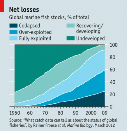 Die letzten zehn Prozent. Über 90 Prozent der Fischgründe sind entweder überfischt oder werden gerade noch nachhaltig ausgebeutet. (Grafik: Economist [8])