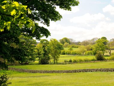 Es wäre geradezu unsinnig, den Wert dieser englischen Landschaft nur nach ihrem landwirtschaftlichen Nutzen zu bemessen. (Foto: Davidhill22 / Wikimedia)