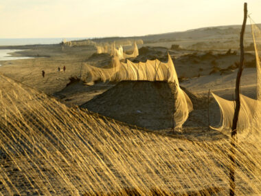 Gefährliche Reise. Zugvögel werden mit riesigen Netzen gefangen wie hier in Ägypten. (Foto: Unbekannt / CMS)