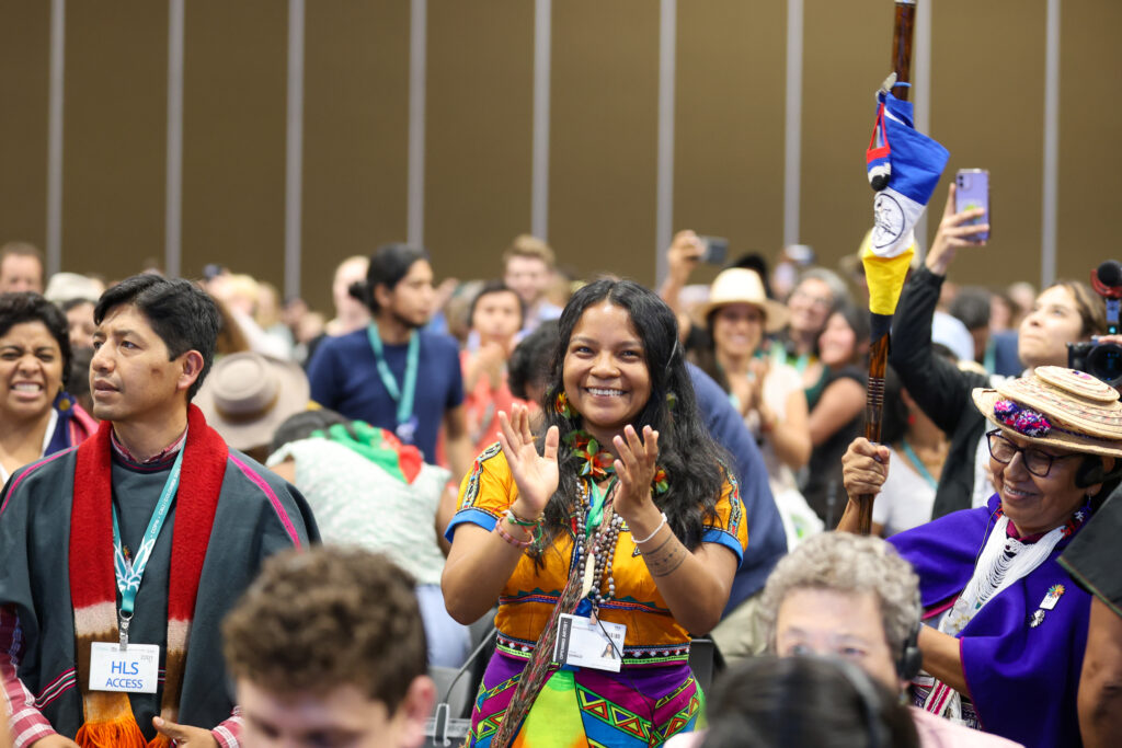 Party. Die Entscheidung ein permanentes Gremium für die Indigenen zu schaffen, bekam mit Abstand am meisten Applaus. (Foto: Mike Muzurakis / IISD)