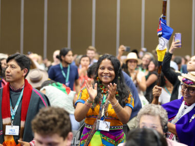 Party. Die Entscheidung ein permanentes Gremium für die Indigenen zu schaffen, bekam mit Abstand am meisten Applaus. (Foto: Mike Muzurakis / IISD)