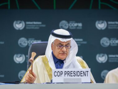 Vergeblich. Auch der Konferenzpräsident, der saudi-arabische Umweltminister Abdulrahman Abdulmohsen AlFadley, konnte die Länder nicht zu einer Einigung bewegen. (Foto: Anastasia Rodopoulou / IISD)